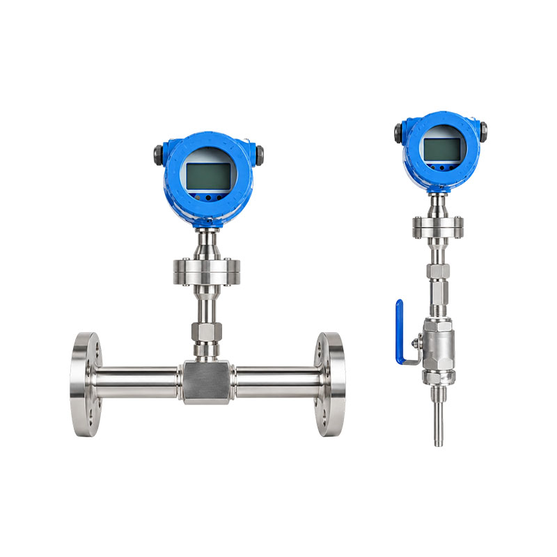XG-RSL-serie thermische gasmassastroommeter